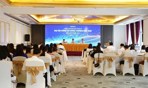 Sơn Hà đặt mục tiêu doanh thu 11.800 tỷ đồng năm 2025