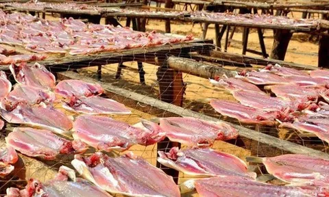 Một ‘mỏ vàng’ của Việt Nam được Mỹ, Trung Quốc đua nhau săn lùng: Thu về hơn 400 triệu USD kể từ đầu năm, gần 2/3 thế giới đã ‘chốt đơn’