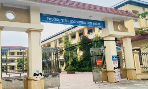 Giáo viên đánh bảo vệ, quấy rối đồng nghiệp được làm việc trở lại?