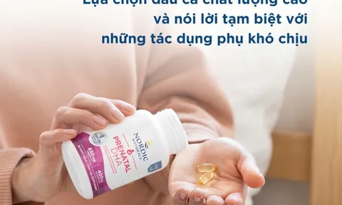 Nordic Naturals – DHA từ Hoa Kỳ tinh khiết cho mẹ bầu Việt