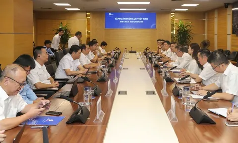 EVN và CSG-LMI mở rộng hợp tác năng lượng sạch