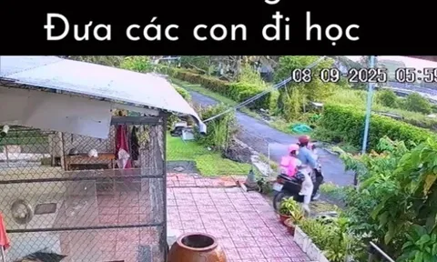 Nhật ký 1 ngày của "khối phụ huynh" khi các búp măng non đi học trở lại khiến dân tình cười mếu: "Thua tài xế công nghệ...
