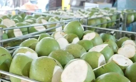 Sau sầu riêng, thêm một 'sản vật' của Việt Nam trở thành đối thủ lớn của Thái Lan: sản lượng hơn 2 triệu tấn/năm, nước ta là ông lớn thứ 7 thế giới