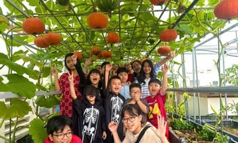 Mẹ đảm TPHCM trồng giống bí 'thần tốc', tạo góc vườn đẹp tặng con dịp Halloween