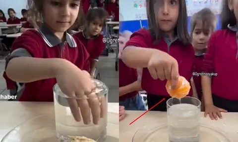 Thử thách lấy quả quýt ra khỏi cốc nước đầy, cả lớp chỉ duy nhất 1 học sinh làm được theo cách không ngờ