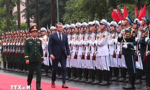 Bộ trưởng Phan Văn Giang hội đàm với Bộ trưởng Bộ Chiến tranh Mỹ Pete Hegseth