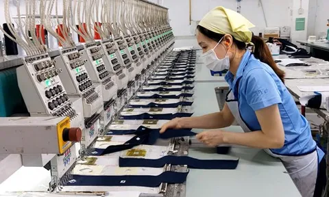 Khơi dậy nội lực, thúc đẩy đột phá