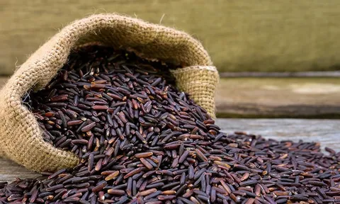 Loại gạo "quý" của người châu Á chống tiểu đường, cholesterol cực tốt