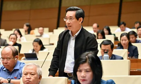 Đại biểu Nguyễn Văn Cảnh đề xuất bổ sung quy định "gói hàng hoá" để kịp thời cứu trợ lũ lụt