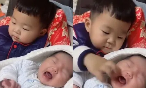 Em sơ sinh khóc mãi không nín, anh trai 2 tuổi liền làm một hành động cực thông minh khiến người mẹ ngỡ ngàng