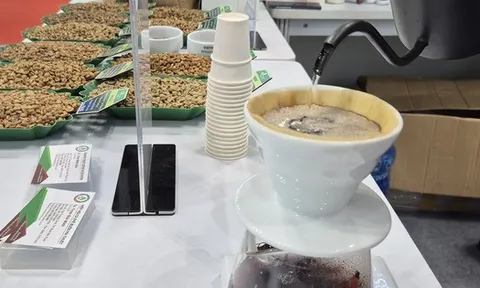 Giá cà phê hôm nay 7-12: Người Việt uống cà phê còn ít