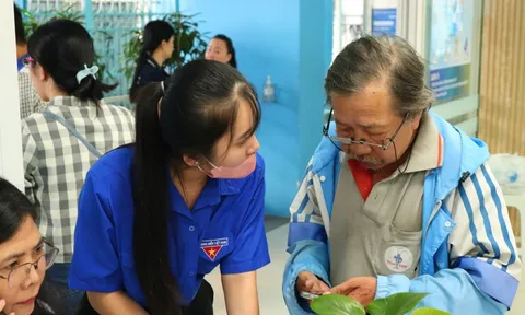 Từ 1-1-2026, TPHCM hỗ trợ toàn diện mức đóng BHYT cho 6 nhóm đối tượng đặc thù