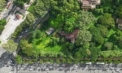 TPHCM hôm nay (26-12), có gì đáng chú ý?