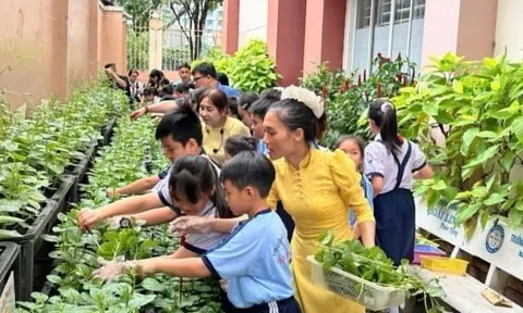 'Hoa mắt' các khoản thu học liên kết ở TP.HCM