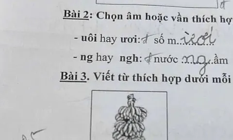 Cô giáo giao bài tập tiếng Việt điền từ, học sinh lớp 1 đưa ra loạt đáp án khiến cộng đồng mạng xôn xao