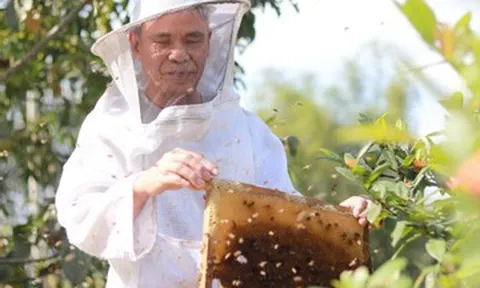 Nghị lực phi thường của người đàn ông mù loà nuôi ong giữa núi rừng Hà Tĩnh