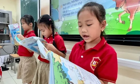 Góc nhìn chuyên gia: Khi chỉ còn một bộ sách giáo khoa