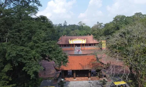 Trần tình của hướng dẫn viên nói về "Nhà Tây Sơn" gây dư luận trái chiều