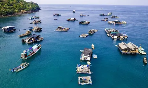 An Giang vươn ra biển lớn: Động lực tăng trưởng xanh và bền vững