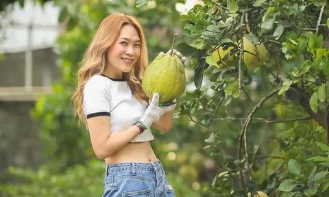 Thành quả không ngờ bên trong nhà vườn của Mỹ Tâm sau 4 năm
