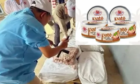 Vụ bê bối Công ty CP Đồ hộp Hạ Long: Phát hiện virus dịch tả lợn châu Phi cả ở thành phẩm