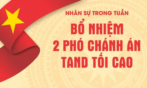 Infographic nhân sự trong tuần: Bổ nhiệm 2 Phó chánh án TAND Tối cao