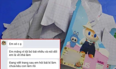 Con tiểu học đến lớp bỏ bài nhiều và nói dối bị cô giáo xé vở, mẹ Việt lên mạng bức xúc gây tranh cãi