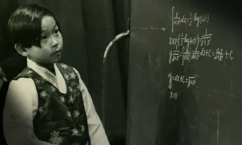 Chuyện gì xảy ra với thiên tài IQ 210 của Hàn Quốc?