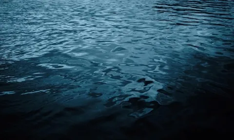 Loài sinh vật màu xanh lam nổi lên ngoài khơi Nhật Bản