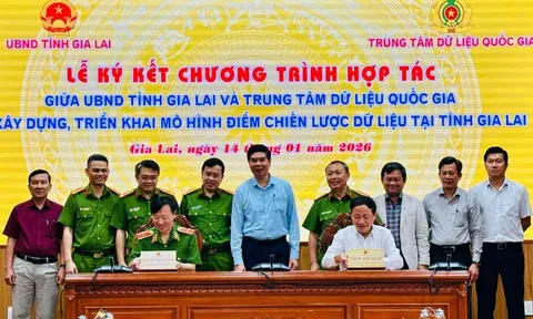 Gia Lai thí điểm mô hình chiến lược dữ liệu phục vụ chuyển đổi số