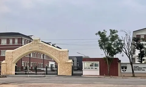 Hải Phòng yêu cầu một trường quốc tế dừng tuyển sinh