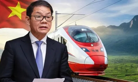 Vượt qua Đại Dũng, Hòa Phát, Đèo Cả,... THACO của tỷ phú Trần Bá Dương trúng gói thầu “xương sống” của tuyến metro hơn 55.000 tỷ đồng tại TP.HCM