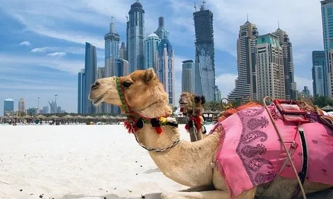 U23 Việt Nam gặp UAE ở tứ kết: Điều thú vị về đất nước này