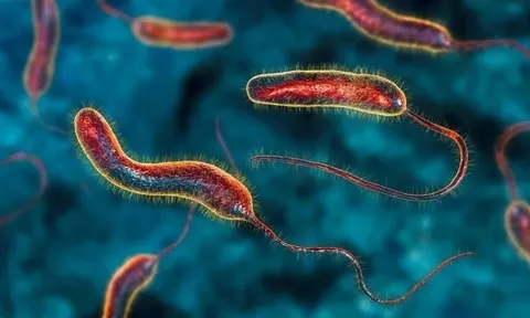 Phát hiện một chất tự nhiên có thể làm teo khối u ung thư