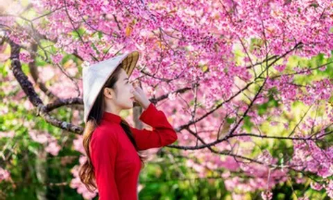 Tiết khí là gì? Ý nghĩa của 24 tiết khí trong năm