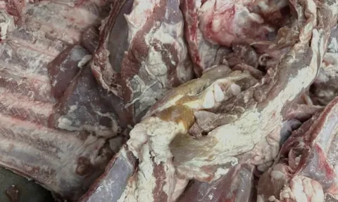 Thiếu đạo đức khi để thịt heo không tươi vào trường học ở TP.HCM