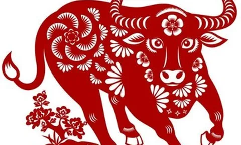 Tử vi tuổi Sửu năm Bính Ngọ 2026: Tài lộc biến động mạnh, có quý nhân nâng đỡ