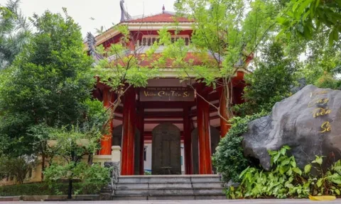 Vụ tiến sĩ giả ở ĐH Sư phạm Hà Nội 2: 'Nhận thông tin, tôi chết điếng'