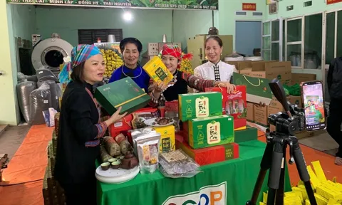 Đẩy mạnh chuyển đổi số hộ kinh doanh từ mô hình thí điểm Thái Nguyên