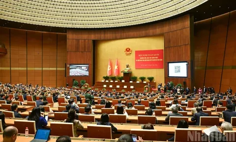 Nhanh chóng đưa nghị quyết vào cuộc sống