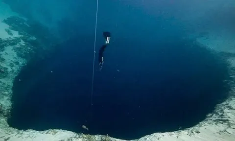 Phát hiện hơn 1.700 virus cổ đại dưới đáy Biển Đông