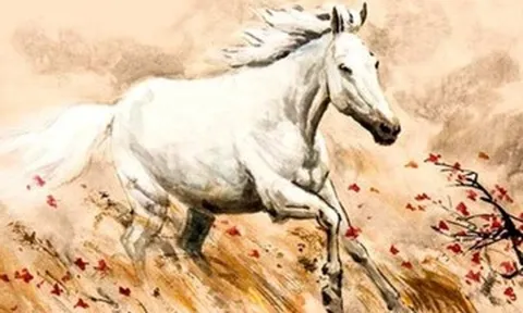 Tử vi tuổi Ngọ năm 2026 chi tiết từng năm sinh