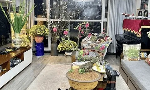 Biệt thự của diva Mỹ Linh rực sắc xuân, nhà nữ MC VTV đủ đầy 'ai ngắm cũng mê'