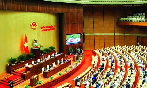 Những cải cách lịch sử