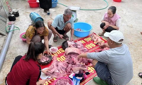 Tục "đụng lợn", "đụng bánh chưng" giữ nhịp Tết làng quê