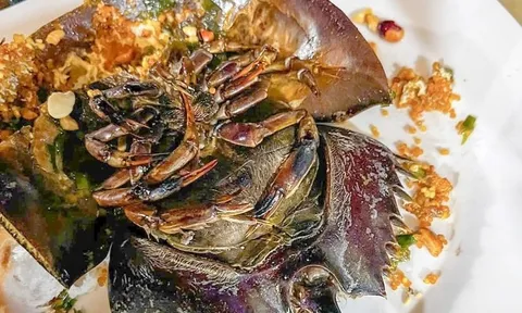 Ăn sò, ốc, sam, nhiều người nghi ngộ độc phải cấp cứu