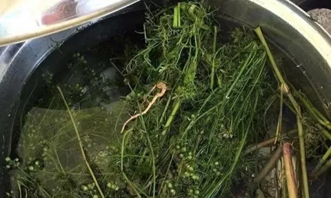 Nghi thức 'tẩy trần' chiều cuối năm của người Việt