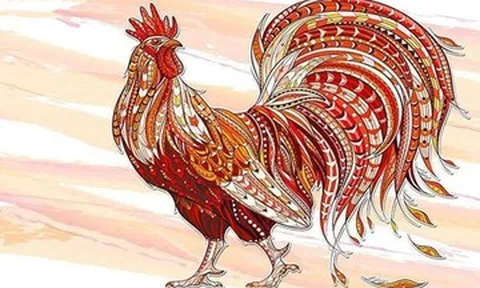 Tử vi tuổi Dậu năm 2026 chi tiết từng năm sinh