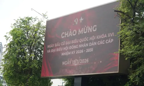 TPHCM tổ chức bầu cử đại biểu Quốc hội và HĐND sớm vào mùng 10 Tết Bính Ngọ