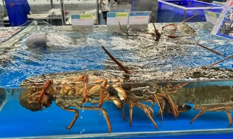 Việt Nam vừa đón một tin cực vui từ Trung Quốc